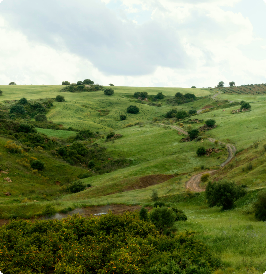 Sustainable energy solutions visualization